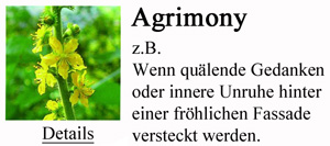 Bio Bachbl�ten Agrimony