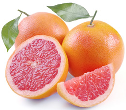 Grapefruitkernextrakt Wunder-Sch�n Naturprodukte