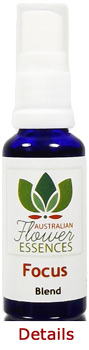 Focus Australische Buschbl�ten Love Remedies Konzentration