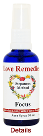 Focus Aurasprays Love Remedies Konzentration
