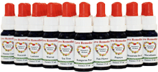 Australische Buschbl�ten Set Love Remedies