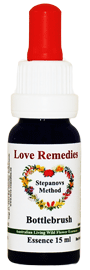 Bottlebrush Love Remedies Australische Buschbl�ten