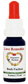 Bush Fuchsia Love Remedies Australische Buschbl�ten