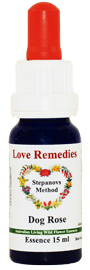 Australische Buschbl�ten Dog Rose Love Remedies