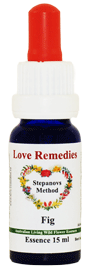 Australische Buschbl�ten Fig Love Remedies