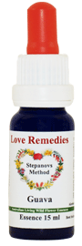 Australische Buschbl�ten Guava Love Remedies