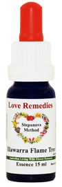 Illawarra Flame Tree Buschbl�ten Love Remedies