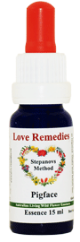Pigface Australische Buschbl�ten Love Remedies