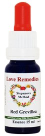 Red Grevillea Australische Buschbl�ten Love Remedies