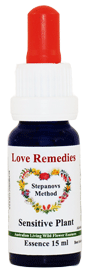 Sensitive Plant Australische Buschbl�ten Love Remedies