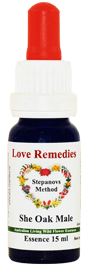 She Oak Male Australische Buschbl�ten Love Remedies