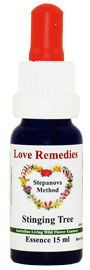 Stinging Tree Australische Buschbl�ten Love Remedies