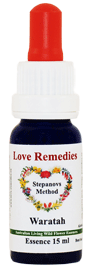 Waratah Australische Buschbl�ten Love Remedies