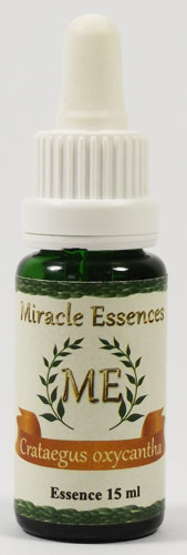 Crataegus oxycantha der Miracle Essences f�r die Leichtigkeit